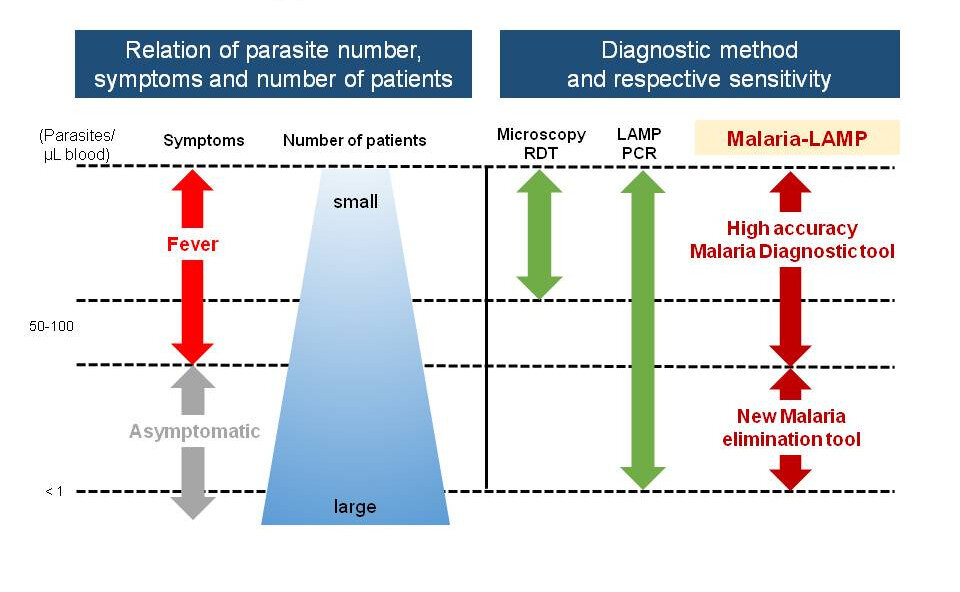 Fig. 2:Schematic overview: Distribution of Malaria infections and the possible role of Malaria-LAMP; source: Eiken Chemical Co, LTD, April 2018