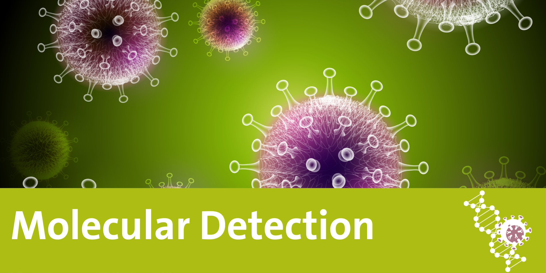 COVID-23 - HUMAN Diagnostics Worldwide For Virus Powerpoint Template Free Download
